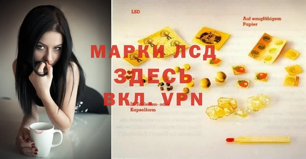 бошки Гусев