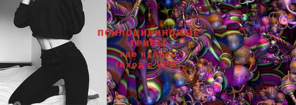 бошки Гусев